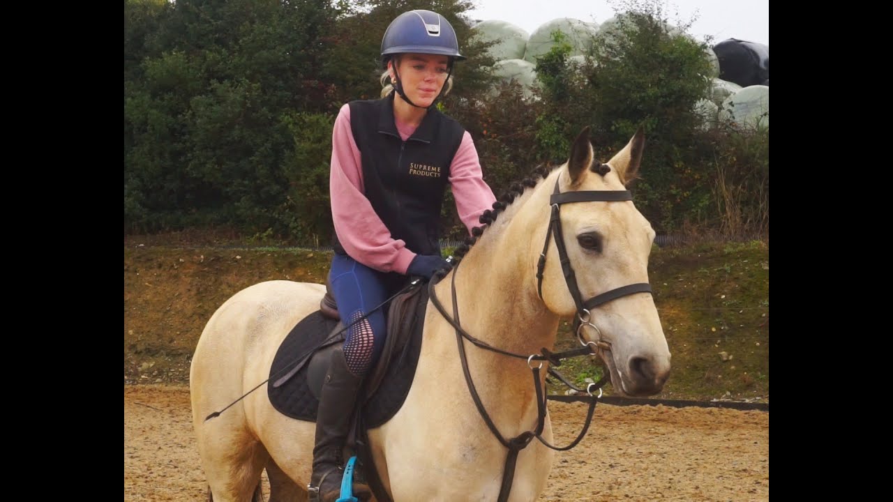 2025 Sales - Ballyrue Equestrian