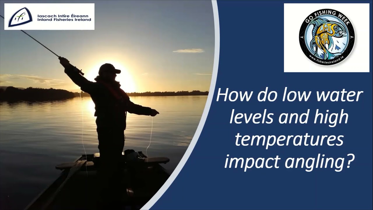 Inland Fisheries Ireland Climate Change Programme