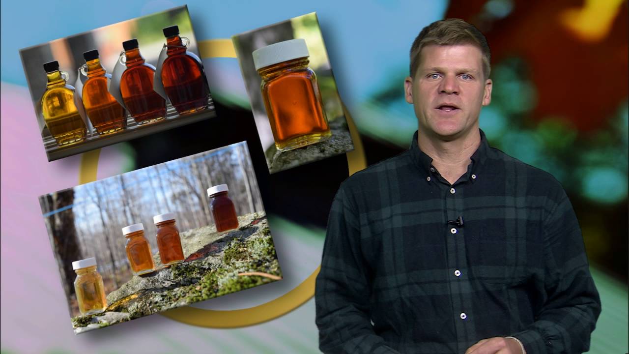 Maple Syrup Grading Fundamentals: Density