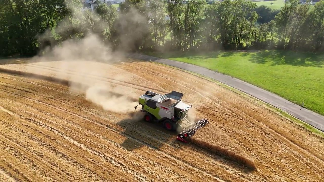 Dreschen am 21.07.2024 mit dem Claas Trion 730