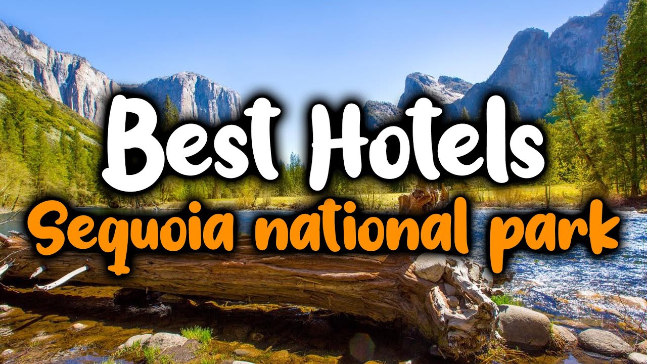 Best Hotels In Sequoia National Park - For Families, Couples, Work Trips, Luxury & Budget