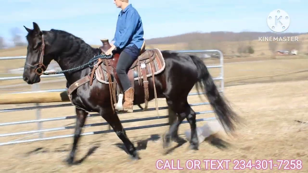 Rippling Brooks Dreamy