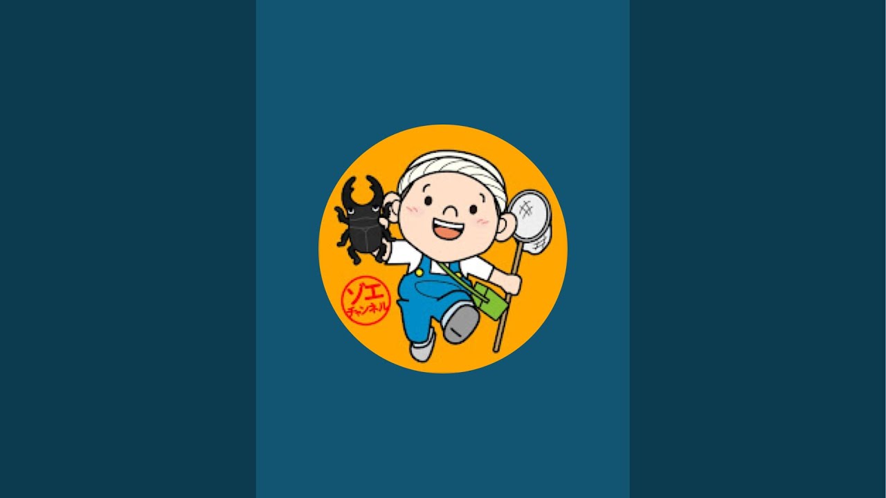 抽選ライブ