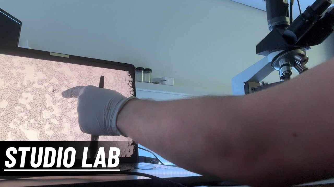Unreleased Video: The Studio Lab