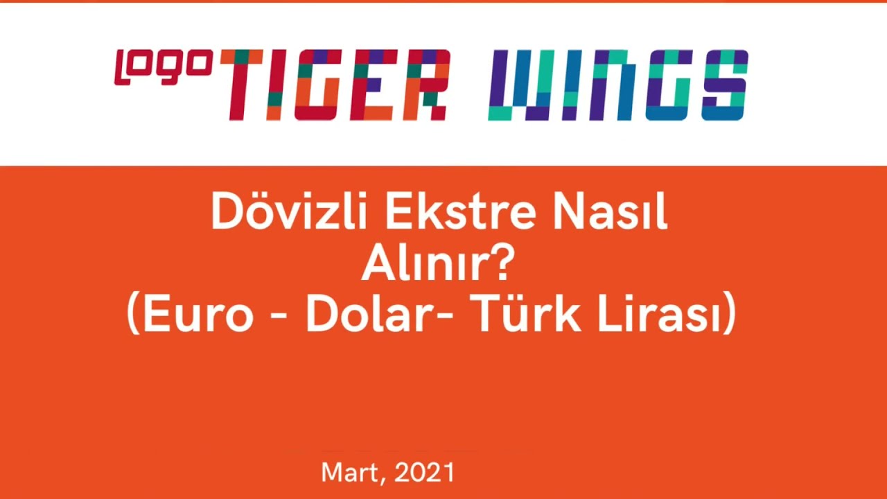 Logo Tiger Wings Dövizli Ekstre Nasıl Alınır?