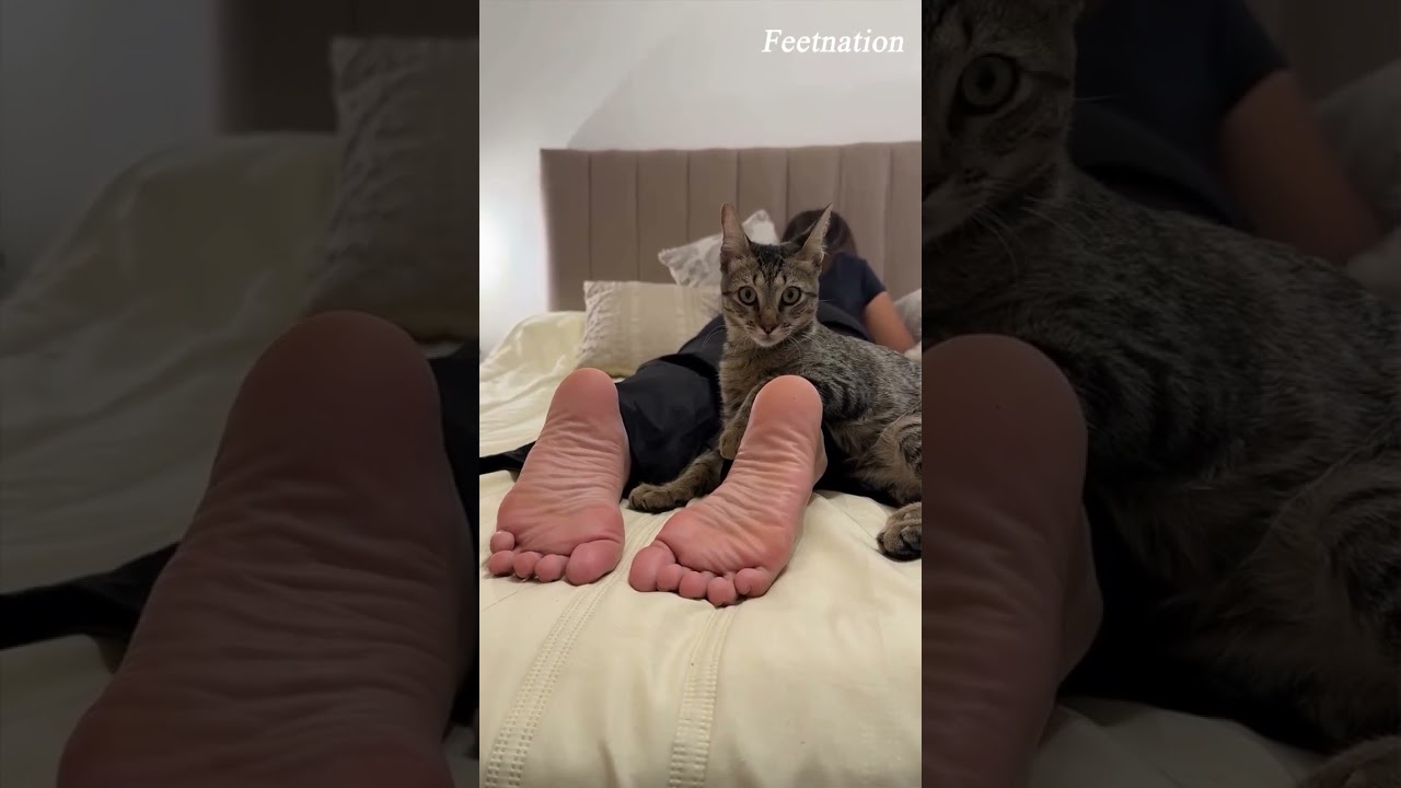 lovely latina soft soles  #asmr #relaxing #feet