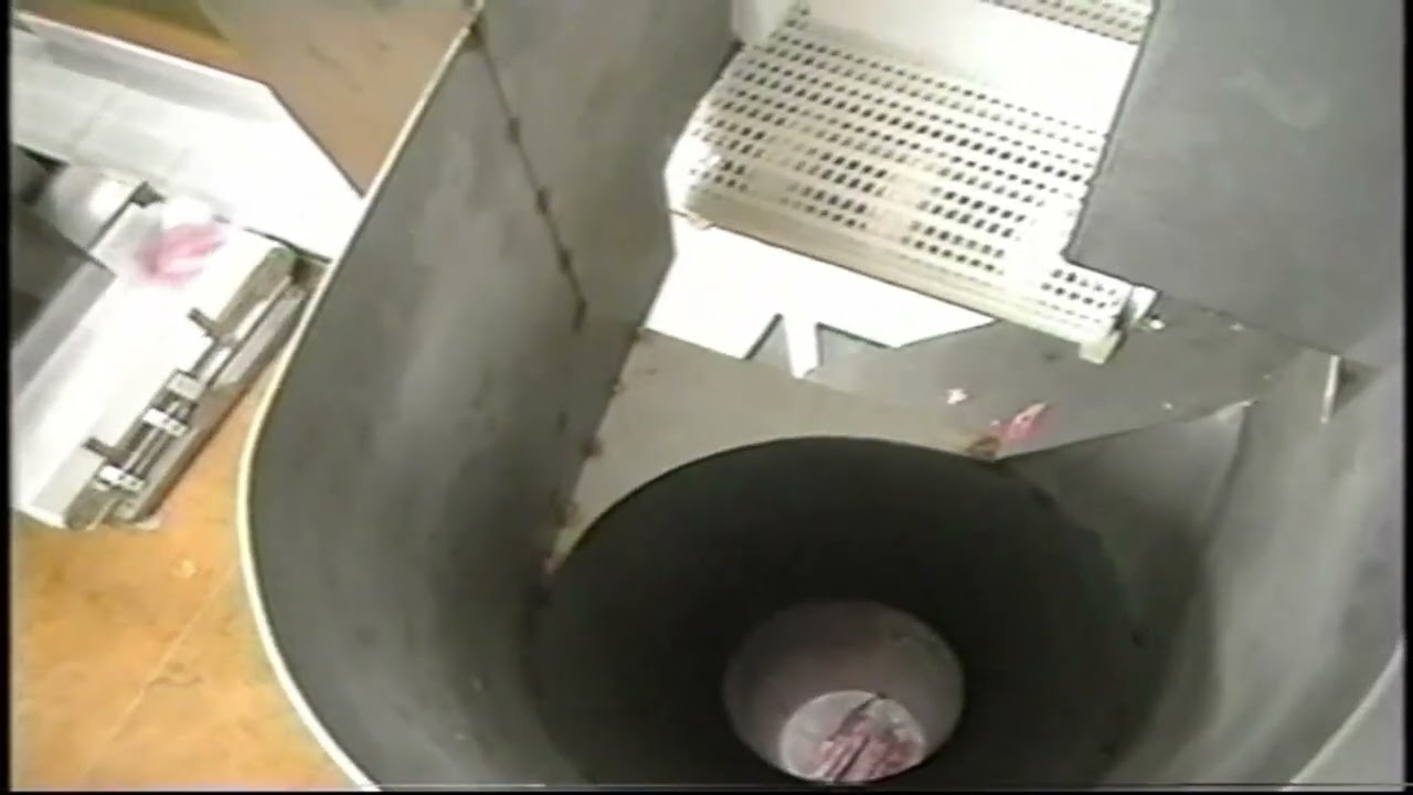 CHULETA DE CERDO CONGELADA ENVASADORA VERTICAL VFFS PYCMESA