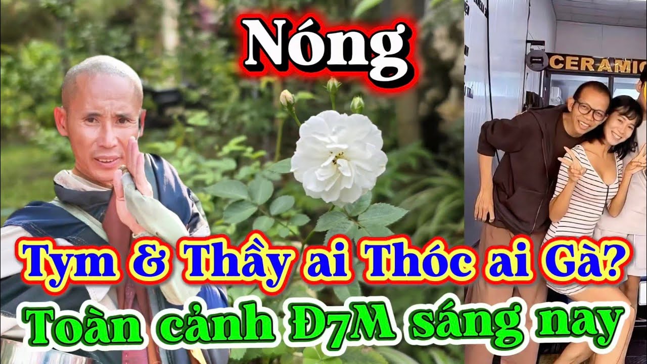 Sự thật Tym và Thầy ai là Thóc ai là Gà. Toàn cảnh Đ7M sáng nay.