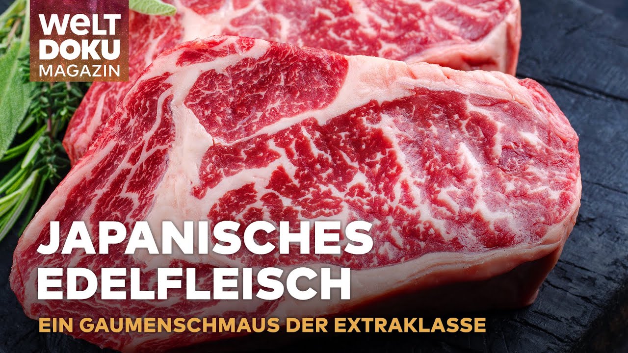 DAS ULTIMATIVE WAGYU-ERLEBNISS: Weltbestes Fleisch und Luxus Genuss aus Schleswig-Holstein | Magazin