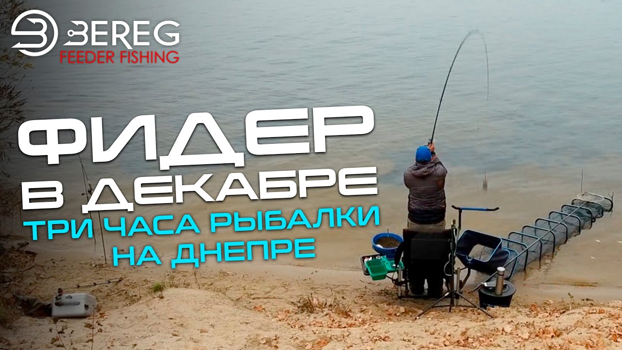 Как ловить на фидер в декабре? Три часа рыбалки на Днепре