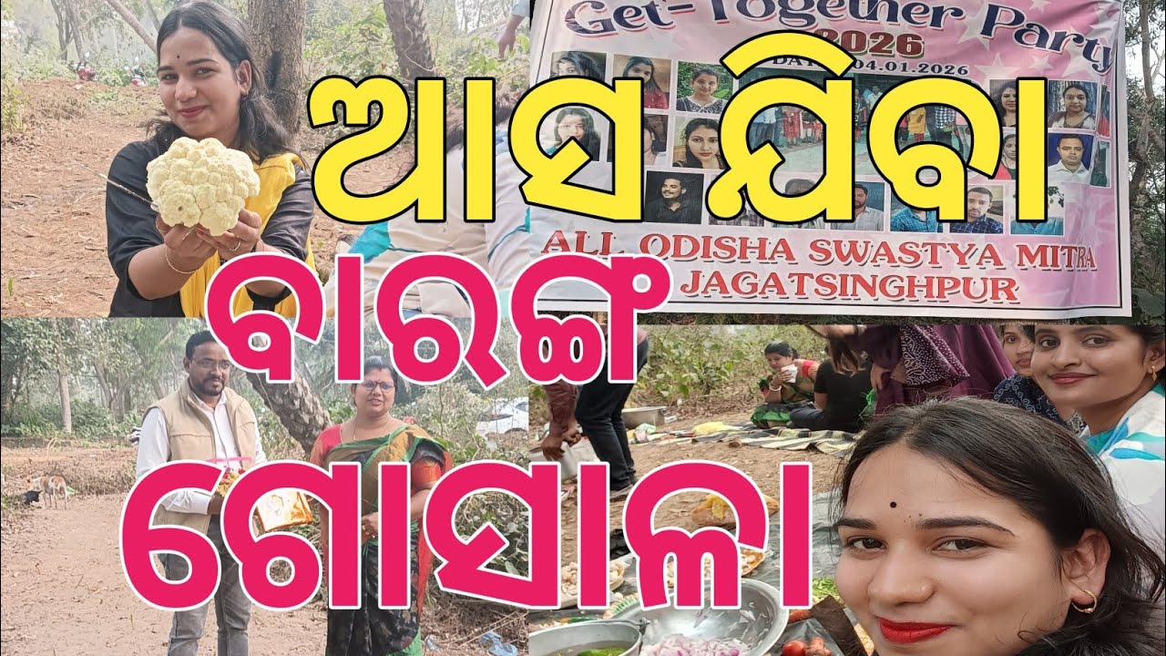 District Staff ଙ୍କ ସହ ଭୋଜି 😃💜🎀 ଜଗତସିଂହପୁର ବାରଙ୍ଗ ଗୋଶାଳା 🥰#vlogs #jagatsinghpur 