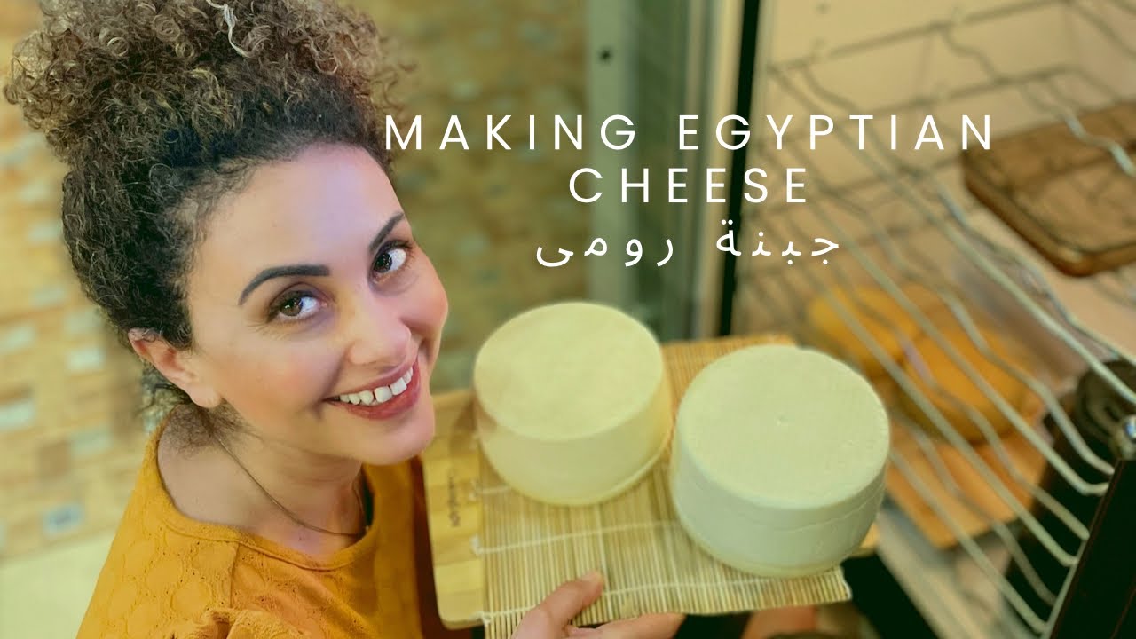 Water Buffalo In Florida and an Egyptian Cheese