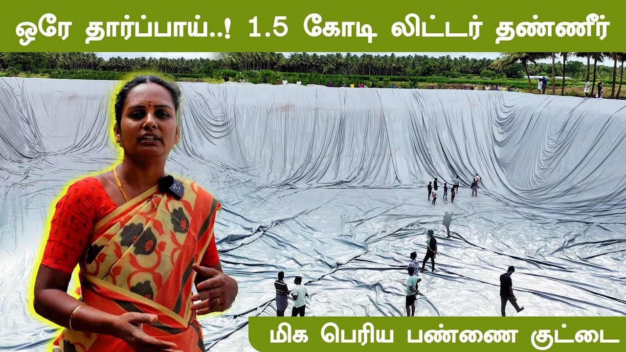 15 Acre Coconut Farm with 1.5 Cr Ltr Pond | 15 ஏக்கர் தென்னை தோட்டம் மற்றும் 1.5 கோடி லிட்டர் குட்டை