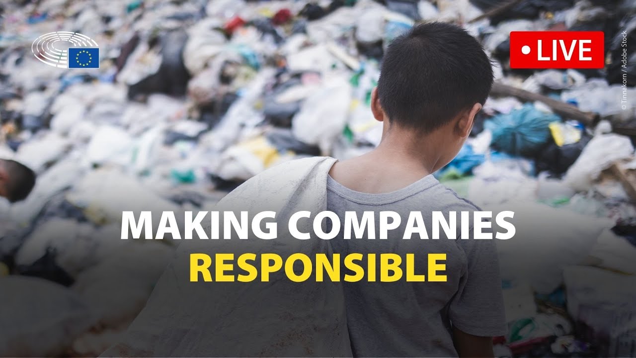 New rules to push companies to mitigate their negative impact on human rights and the environment