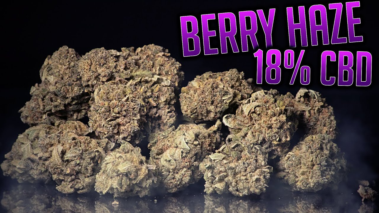BERRY HAZE 18% CBD | LooseLeafCBD.uk