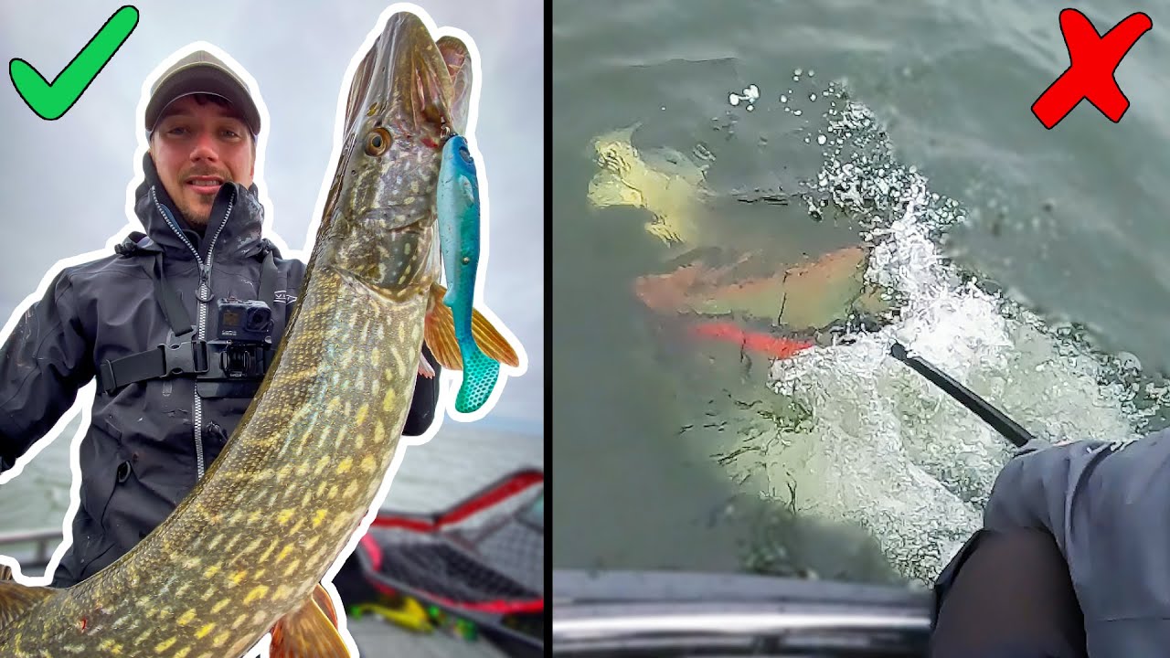 ТОБИАС УПУСКАЕТ СВОЮ САМУЮ БОЛЬШУЮ ЩУКУ В ЭТОМ ГОДУ - Ловля Крупной Рыбы на Больших Водоемах