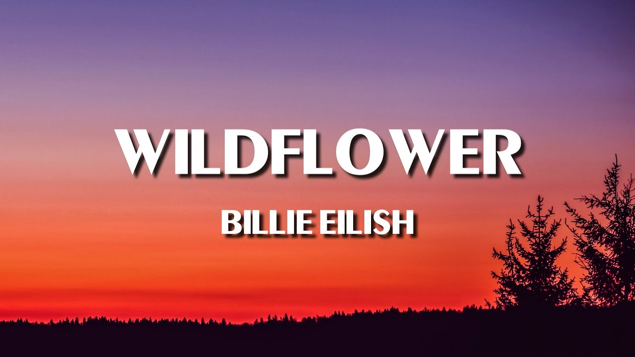Billie Eilish - WILDFLOWER (Lyrics)