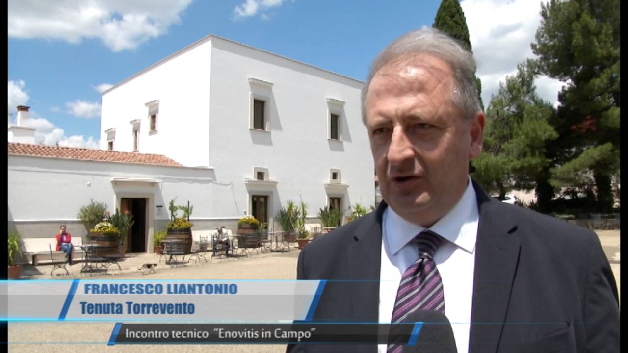 CORATO INCONTRO TECNICO ENOVITIS IN CAMPO   TELEREGIONE 20 05 2016