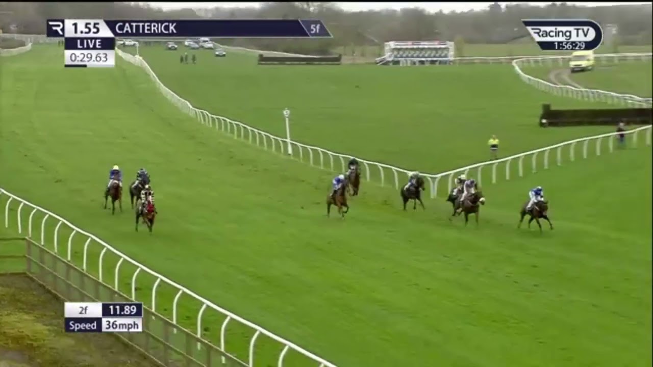 ( KING OF THE JUNGLE)1 Race Catterick 03 Apr 2024