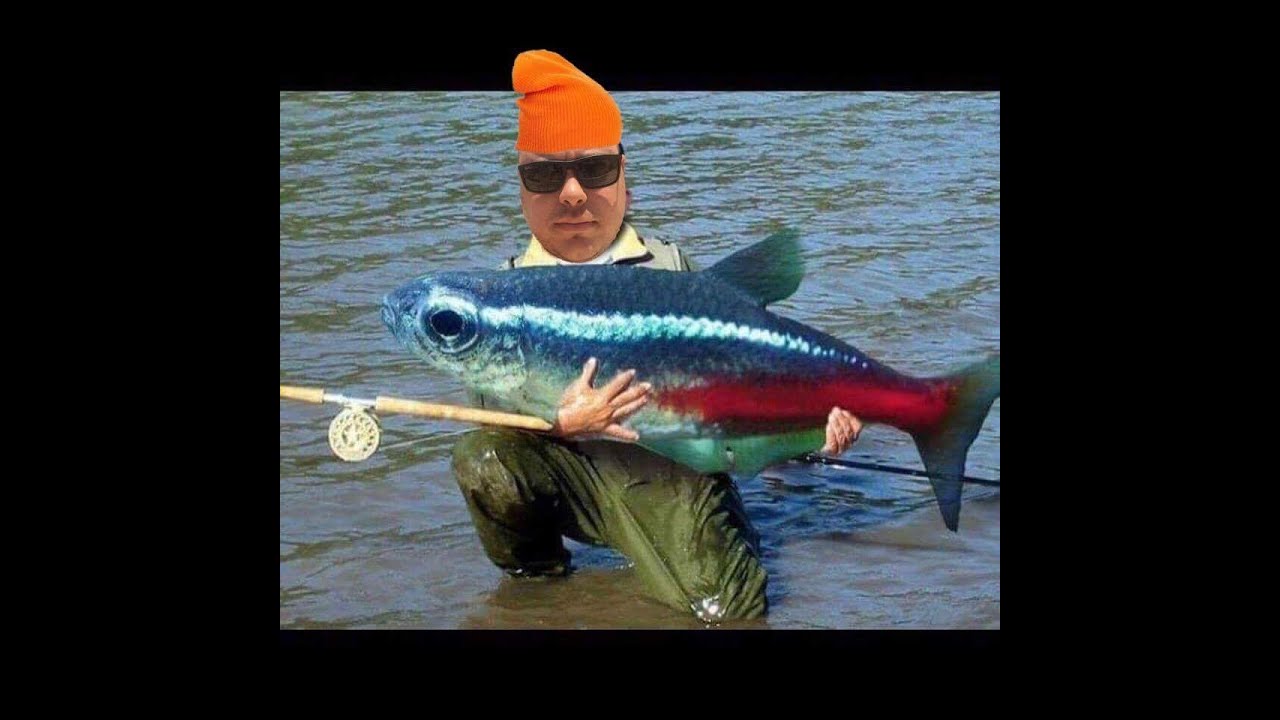 Gamle fraklip Fisketure