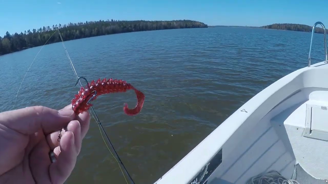 En solig dag på Mälaren med bra fiske