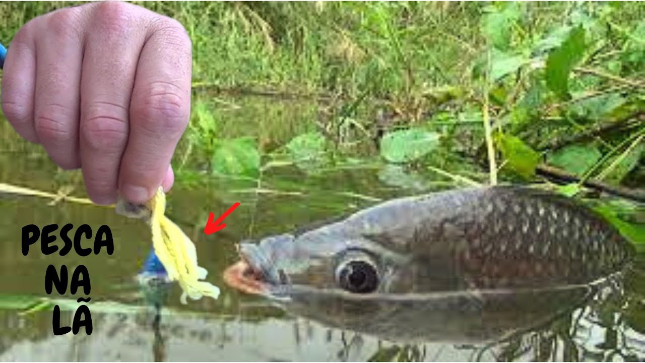 PESCA de TILÁPIA na LÃ Tecnica do Chicote com Lã  Passo a Passo
