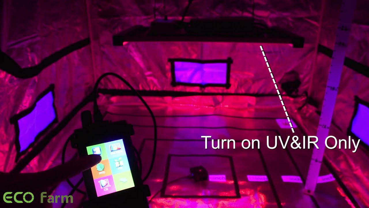 PAR TESTING - ECO Farm LM301B/LM301H Foldable Quantum Board With UV and IR