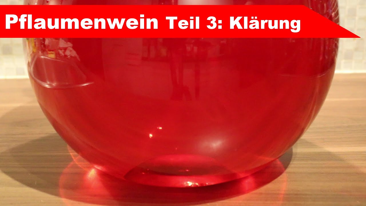 🍷 Pflaumenwein selber machen 🍷 Teil 3: schwefeln und klären - Finalisierung - Fermentastisch