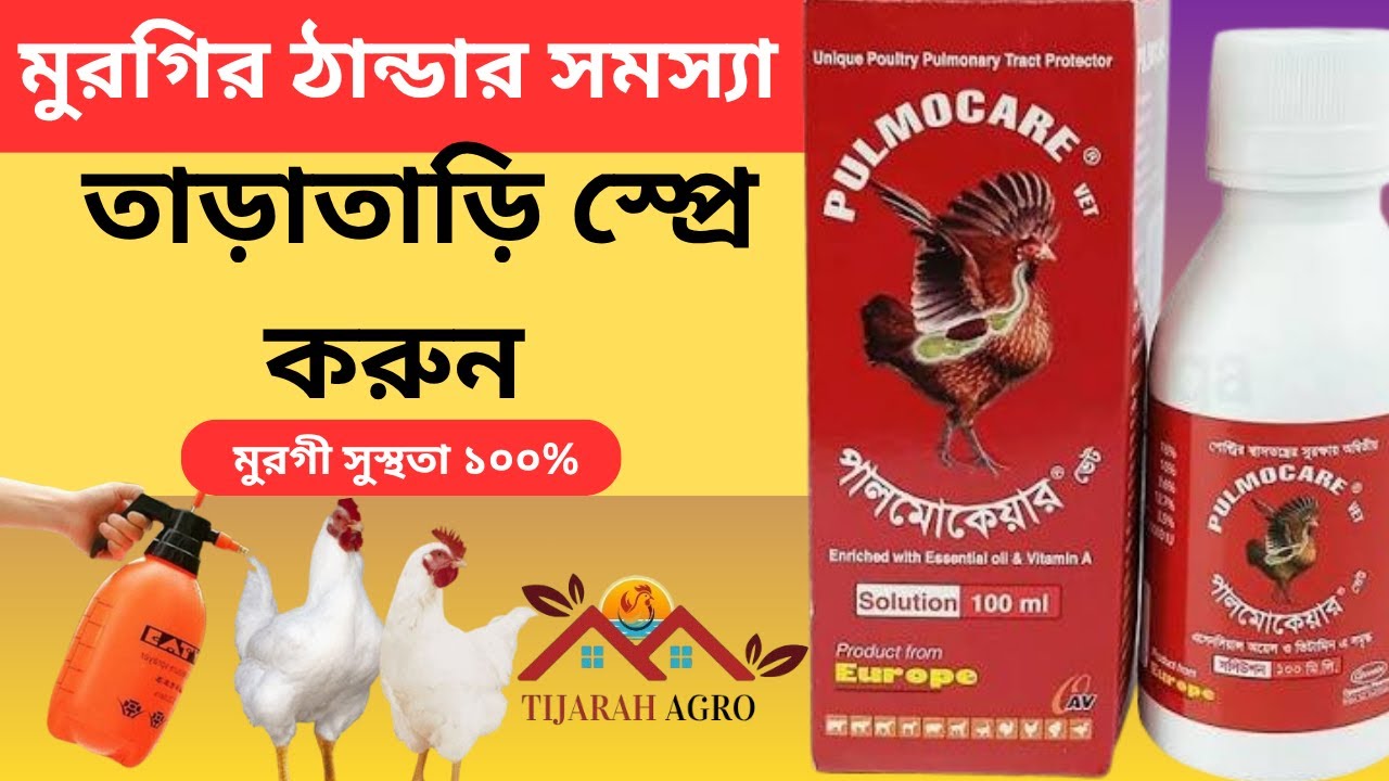 ব্রয়লার মুরগির ঠান্ডা জড়িত সমস্যা দূর করার সহজ উপায় | স্প্রে করলে মুরগির ঠান্ডা সারবে দ্রুত