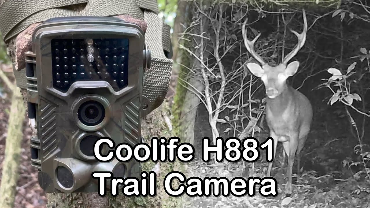 Coolife H881 trail camera footage - Any good??