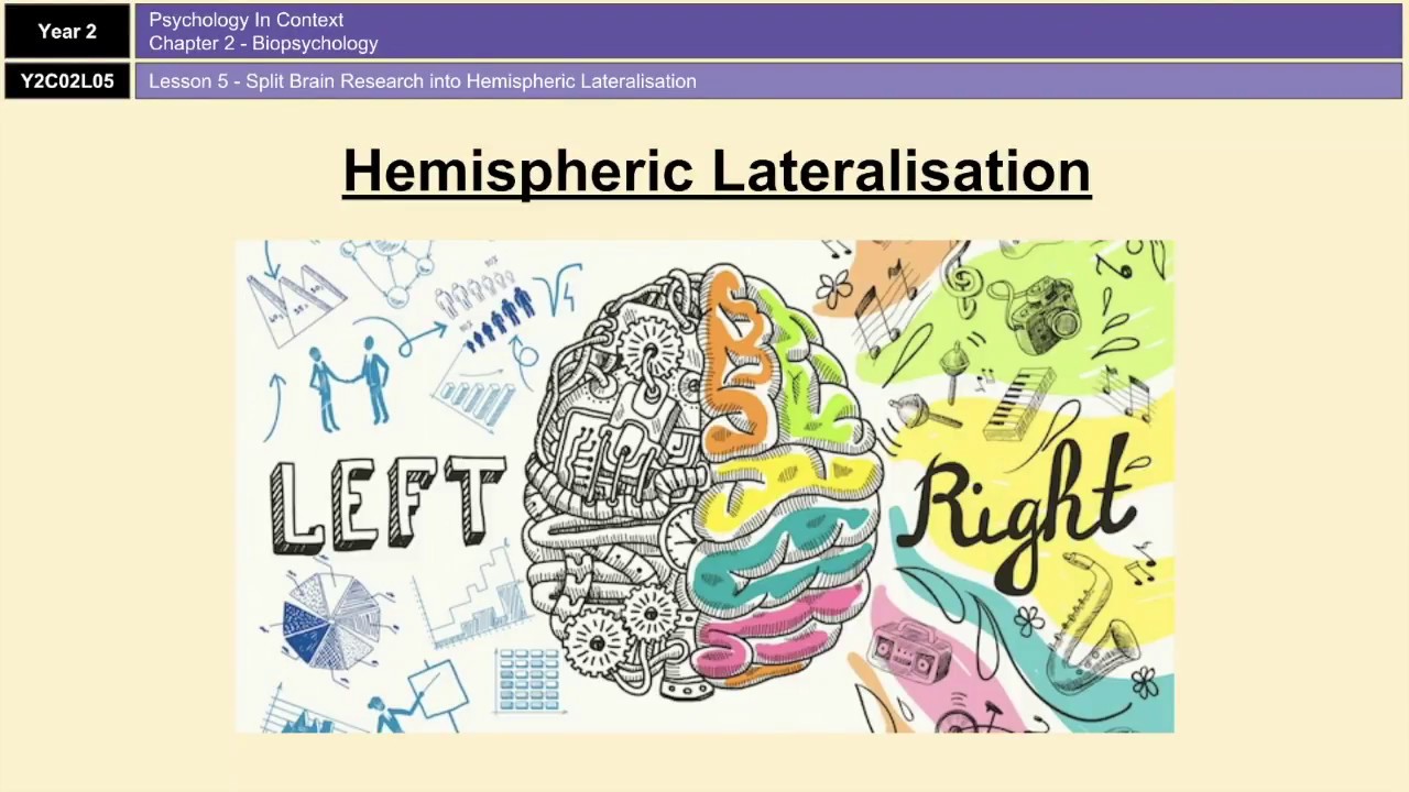 A-Level Psychology (AQA): Biopsychology - Hemispheric Lateralisation and Split Brain Research