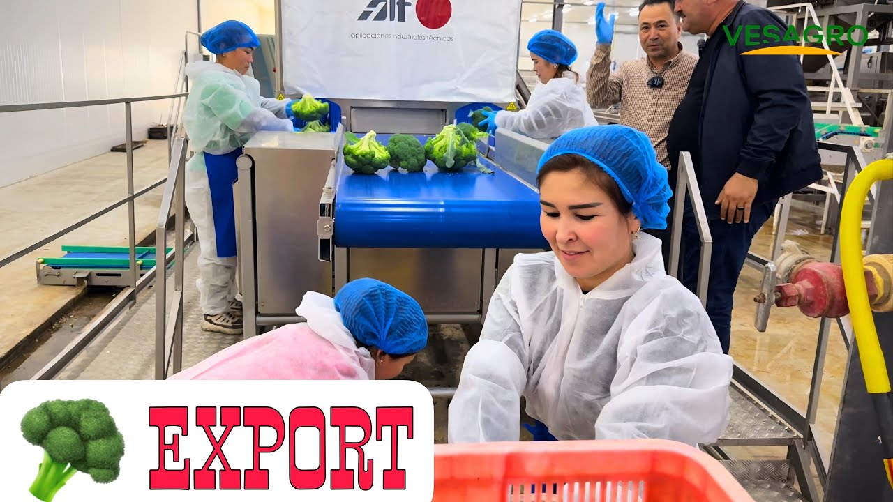 Мева Сабзавот ЭКСПОРТ КОРХОНАсига ТАШРИФ