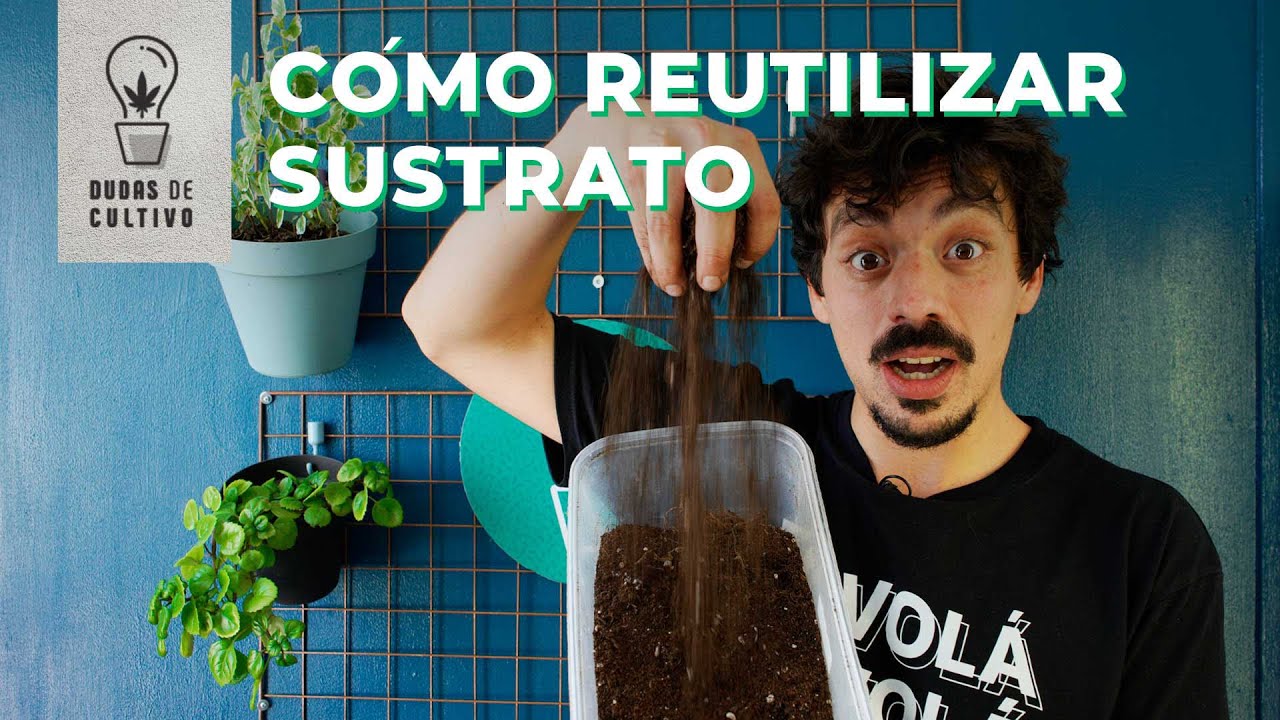 C&Oacute;MO REUTILIZAR TU SUSTRATO - DUDAS DE CULTIVO