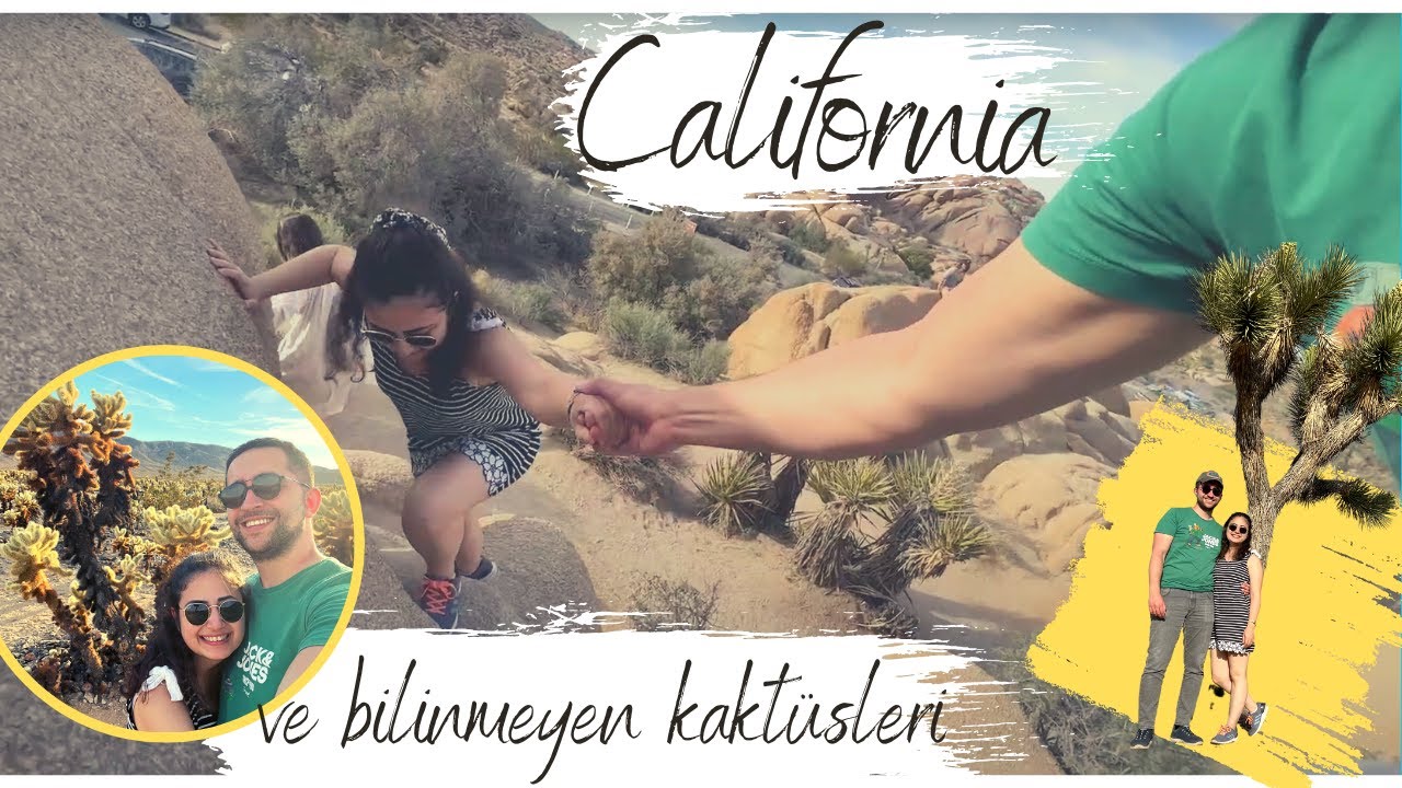 California Çölleriyle büyüledi | Nedir bu KAKTÜSLERİN OLAYI | #amerikavlog
