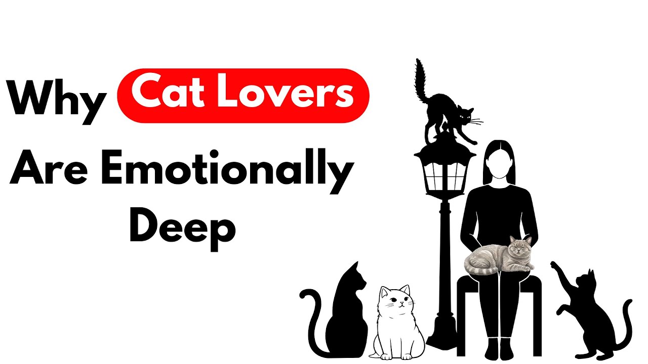 Psychology Explains Why Cat Lovers Have Deep Emotions