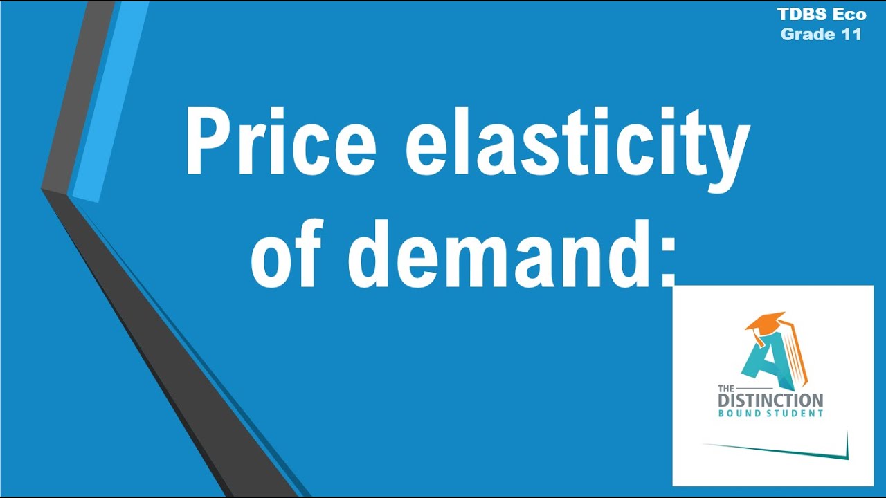 Lesson 53 Price Elasticity of Demand Economics Grade 11 by Carden Madzokere