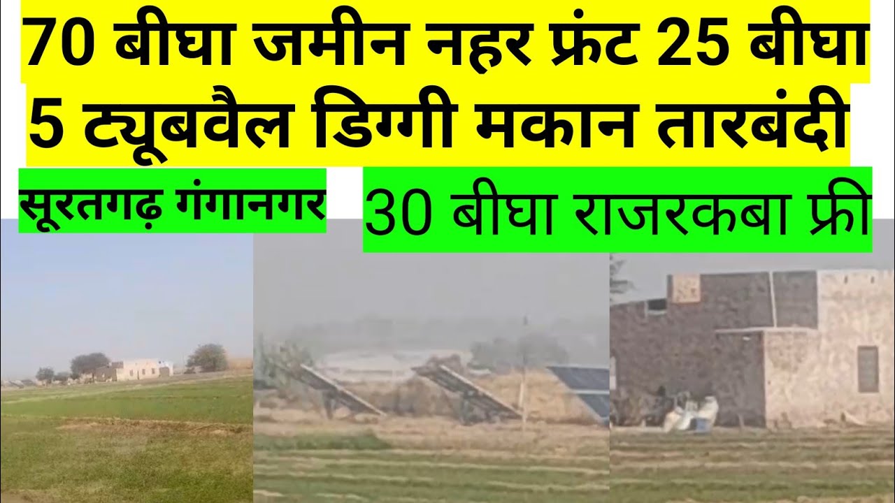 सूरतगढ़ गंगानगर की बिकाऊ जमीन। 70 बीघा खातेदारी 30 बीघा राजरकबा 5 ट्यूबवेल डिग्गी मकान तारबंदी।#land