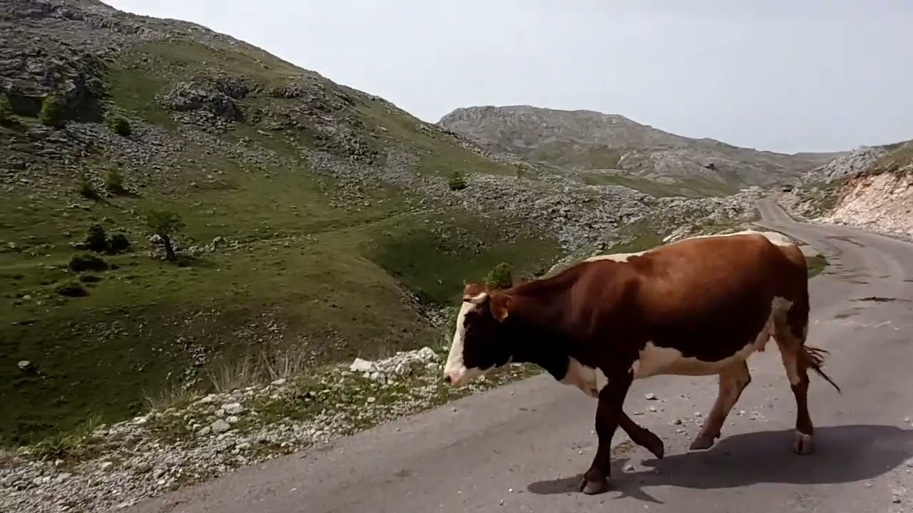 Bosna Road Trip: Prirodna čuda Sarajeva, Konjica, Borackog jezera, Glavatičevo, sela Luke i Visočice