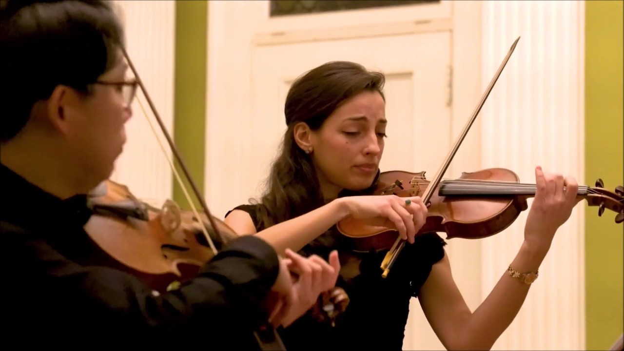 J. Vierdanck - Sonata a due violini soli