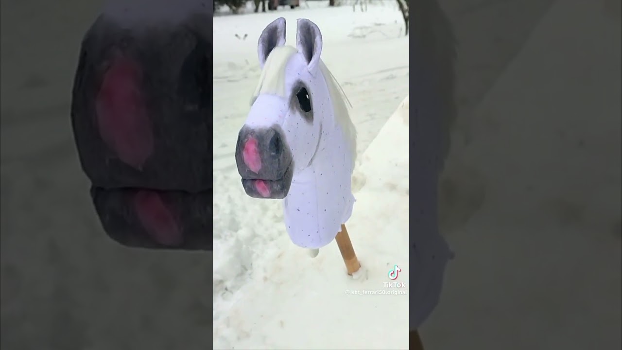 compilation de Hobbyhorse #2