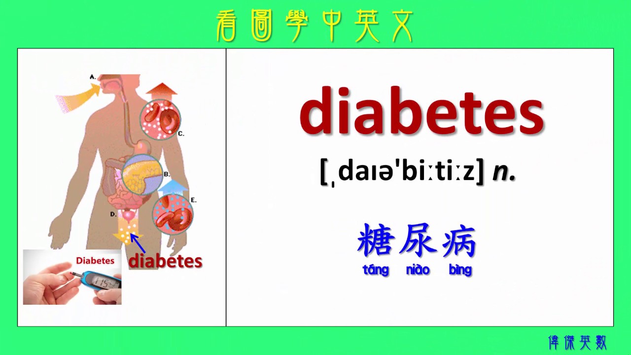 看圖學中英文 42 疾病 1 (Learning Chinese and English Vocabularies about disease 1)
