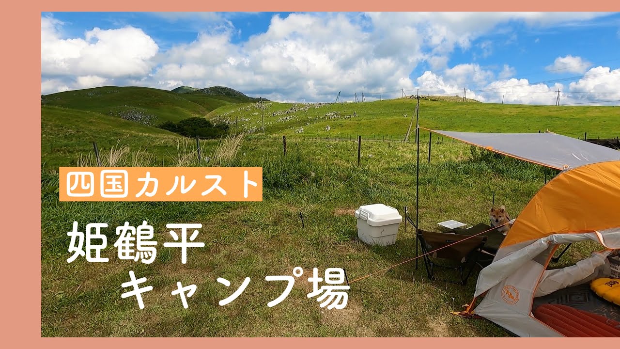【犬連れキャンプ】四国カルストの絶景 姫鶴平キャンプ場（愛媛県）