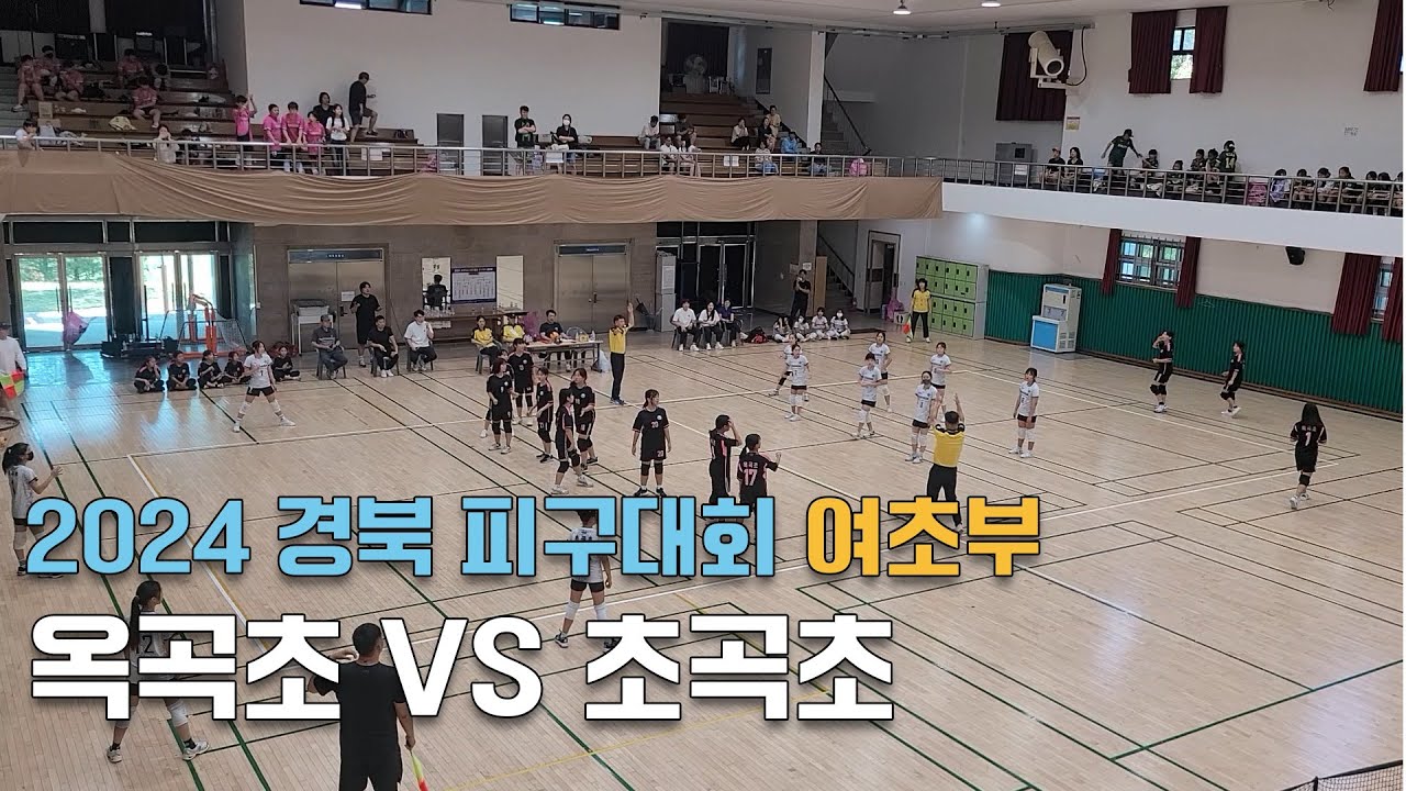 [2024 경북피구대회-여초부 4강] 포항 초곡초 VS 경산 옥곡초