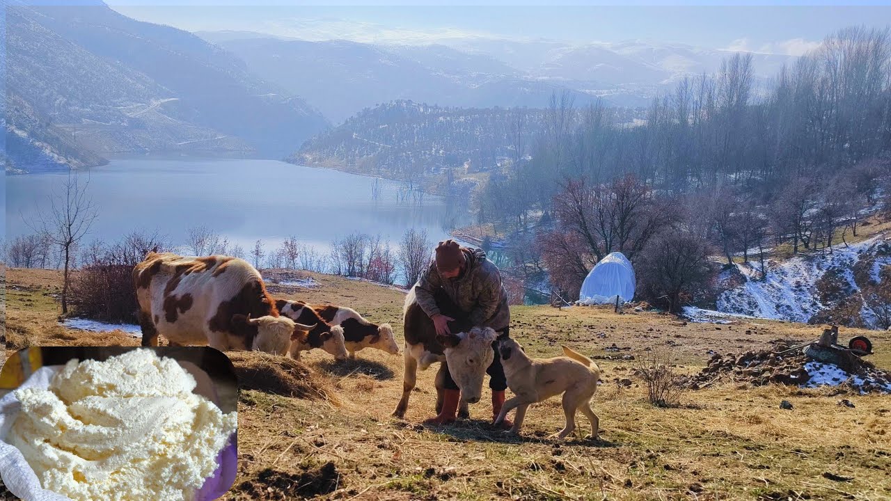Medeniyetten uzak doğanın bağrında huzurlu köy yaşamı. Peaceful village life. #köy #villagelife