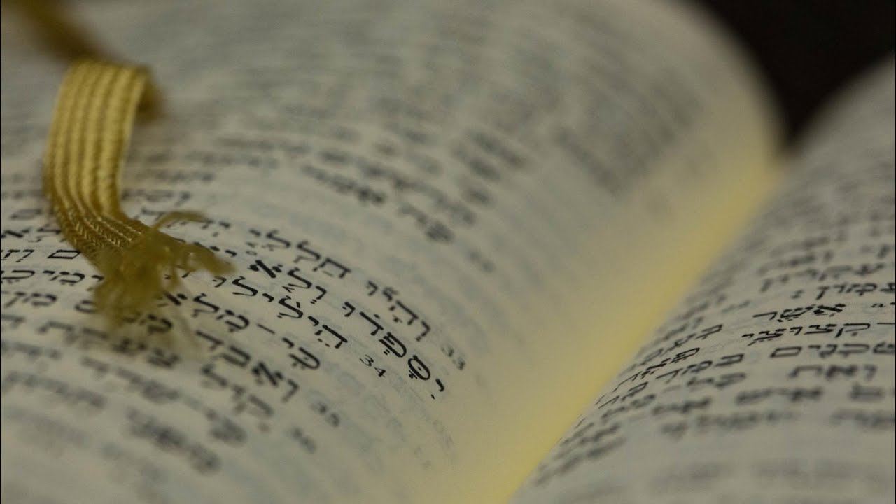 #1 Midrash Racconta, Genesi: La Creazione (2/2)