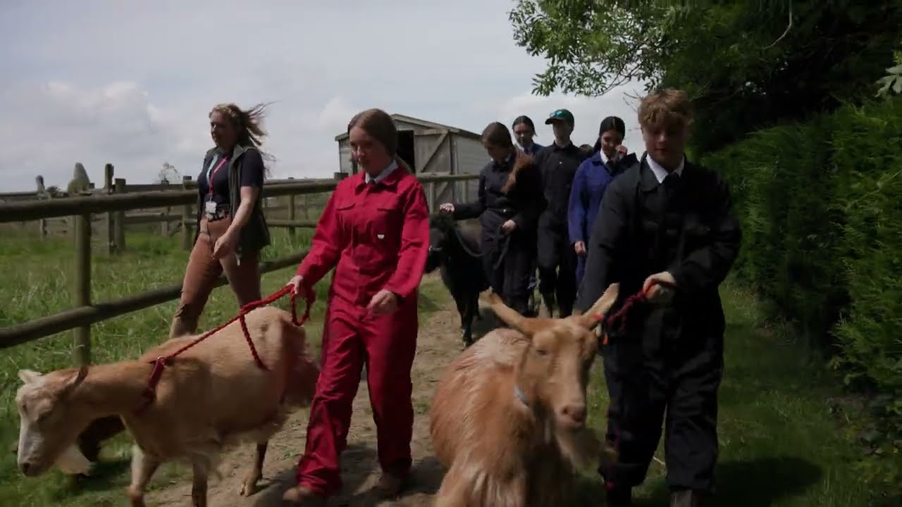 Teacher Training Stories: Animal Care Teacher