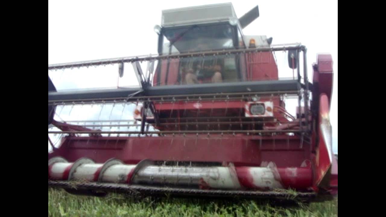 Żniwa 2012-Koszenie rzepaku & Fortschritt E-514 SX
