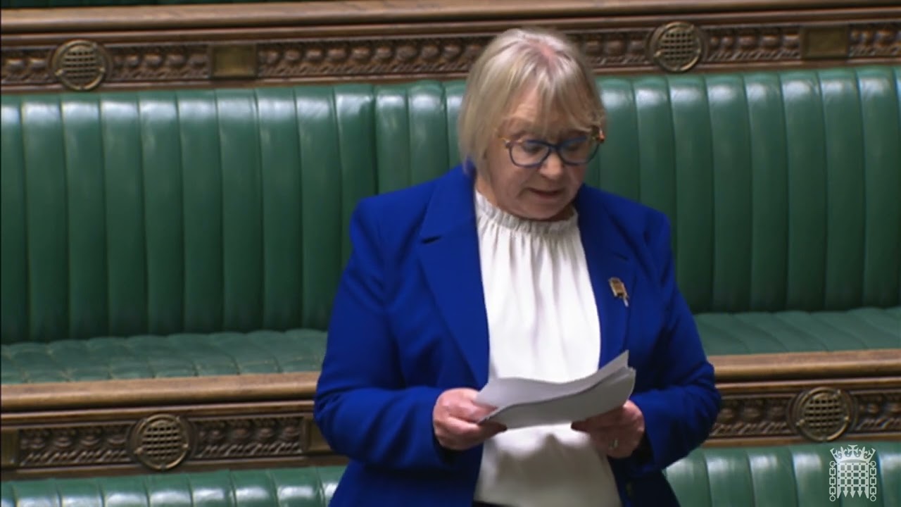 House of Commons - Adjournment Debate : Future funding for Tamar crossings - 07/05/2024