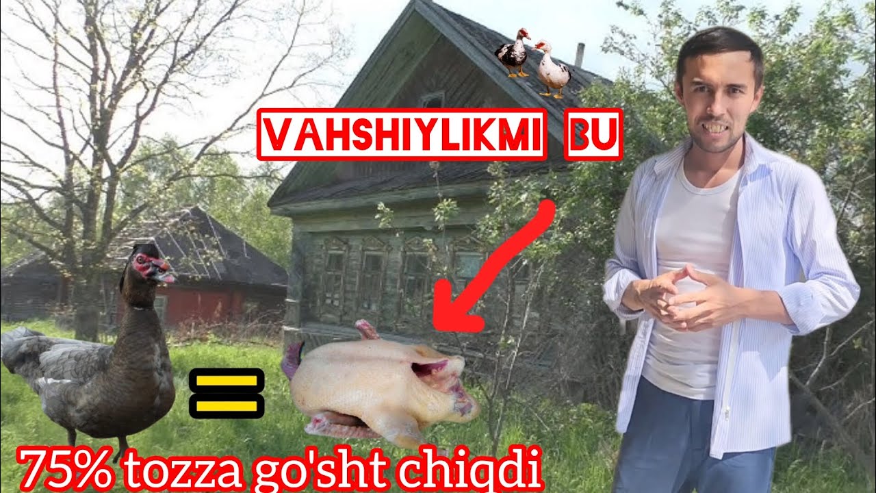 INDOUTKA HAQIDA TOP FAKTLAR, INDOUTKA BIZNESI