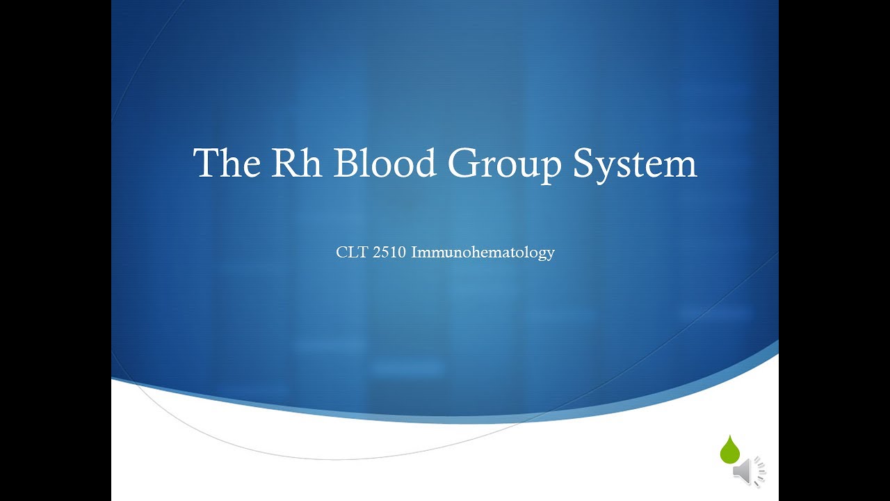The Rh Blood Group System
